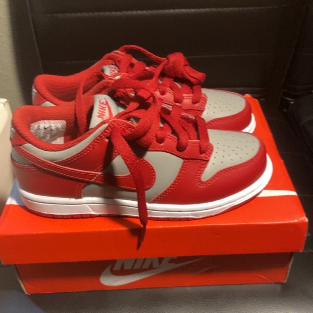 Brand Nike New Dunks